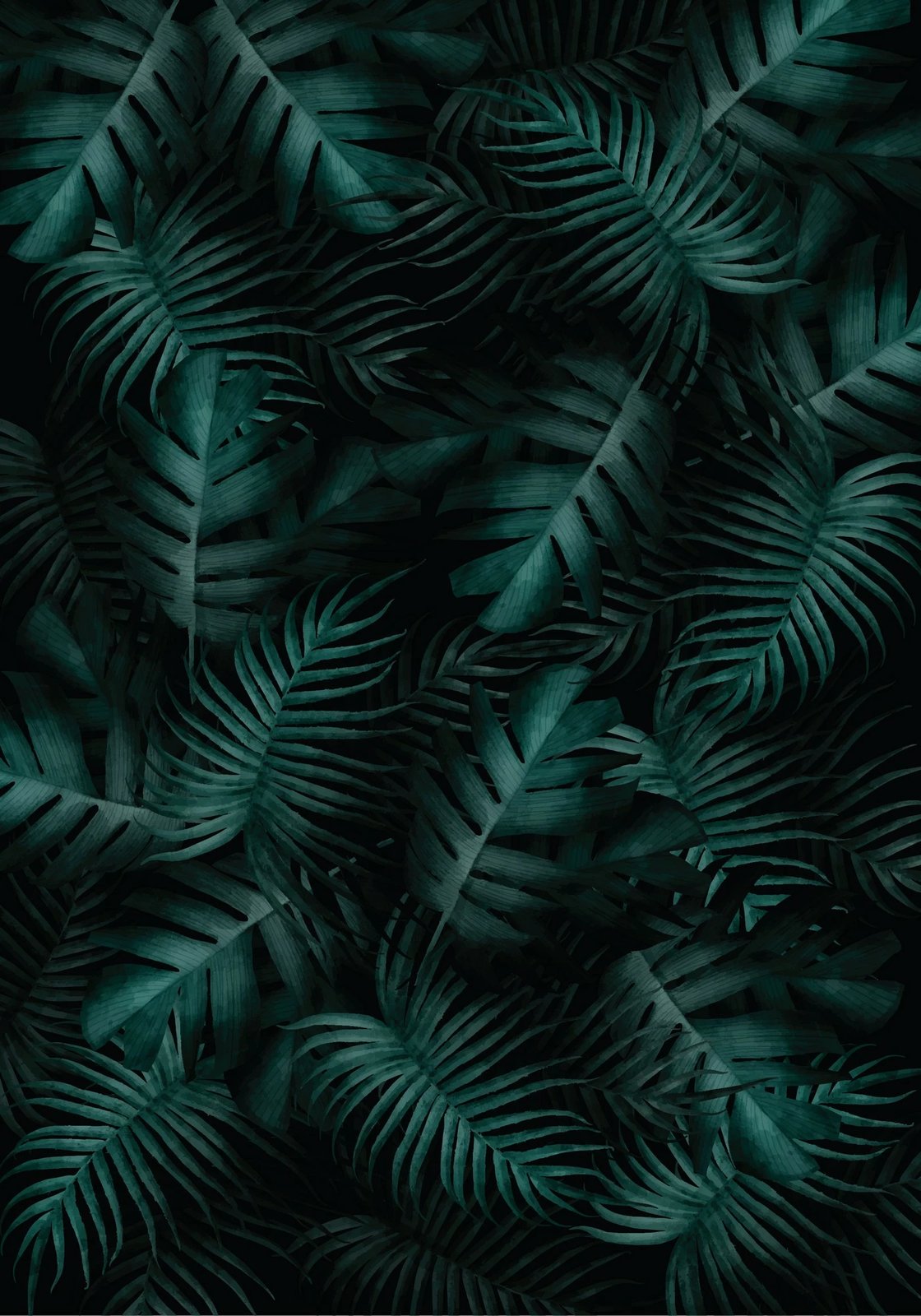 Set tapetash për banjo (2 copë), Mijolnir, CT-5335