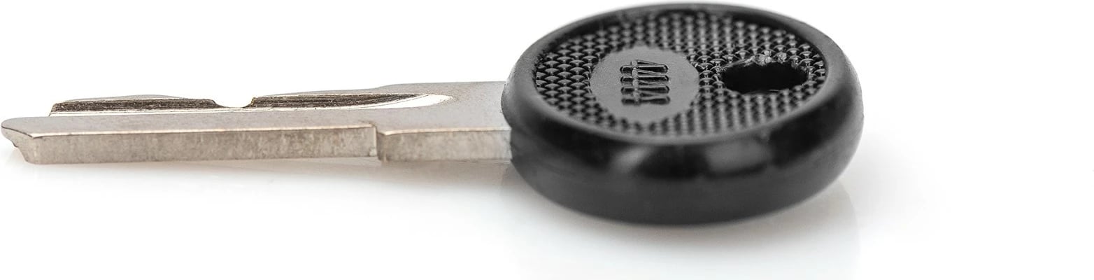 Çelësa rezervë Digitus për kasë rrjeti SOHO PRO DN-1019/DN-DVR-1, 2 copë, zi/argjendtë