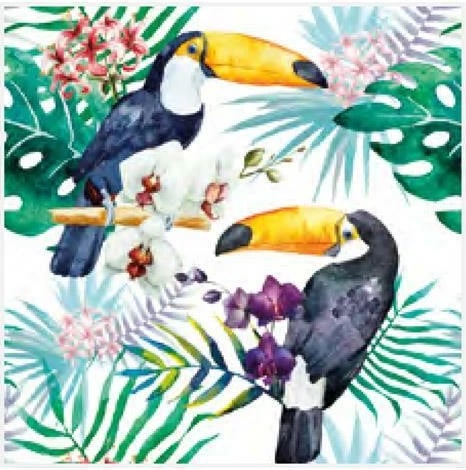 Peceta NEXT 20 copë "Toucan" 33x33cm