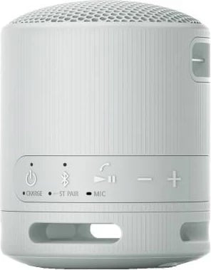 Altoparlant portativ Sony SRS-XB100, gri