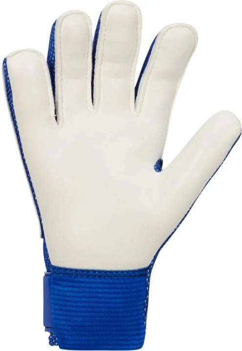 Doreza portieri për fëmijë Nike, të kaltra