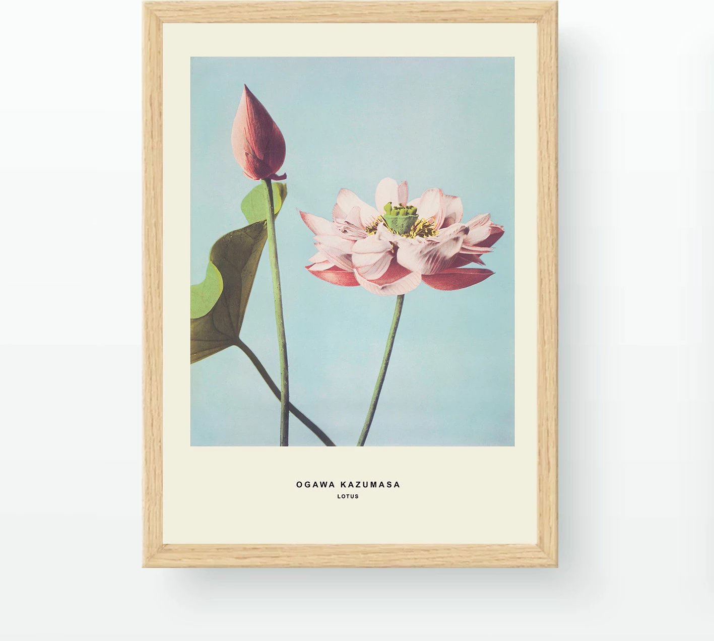 Pikturë dekorative me kornizë, shumëngjyrëshe, Wallity, NC523362-3545, 35x45cm