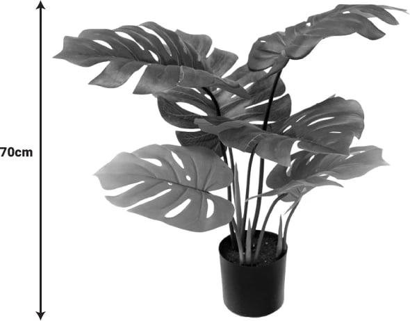 Bimë dekorative Monstera në vazo, ngjyrë e gjelbër, H70cm