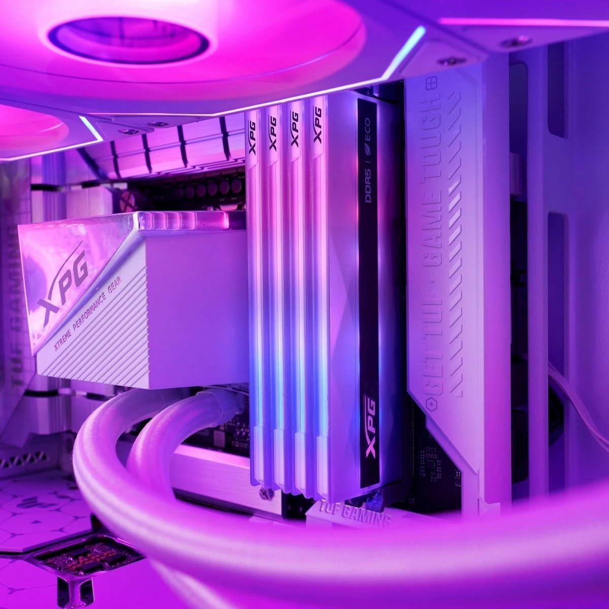 RAM Memorje Adata XPG Lancer NEON RGB DDR5, 32GB (2x16GB), 6000MHz, CL30, me RGB