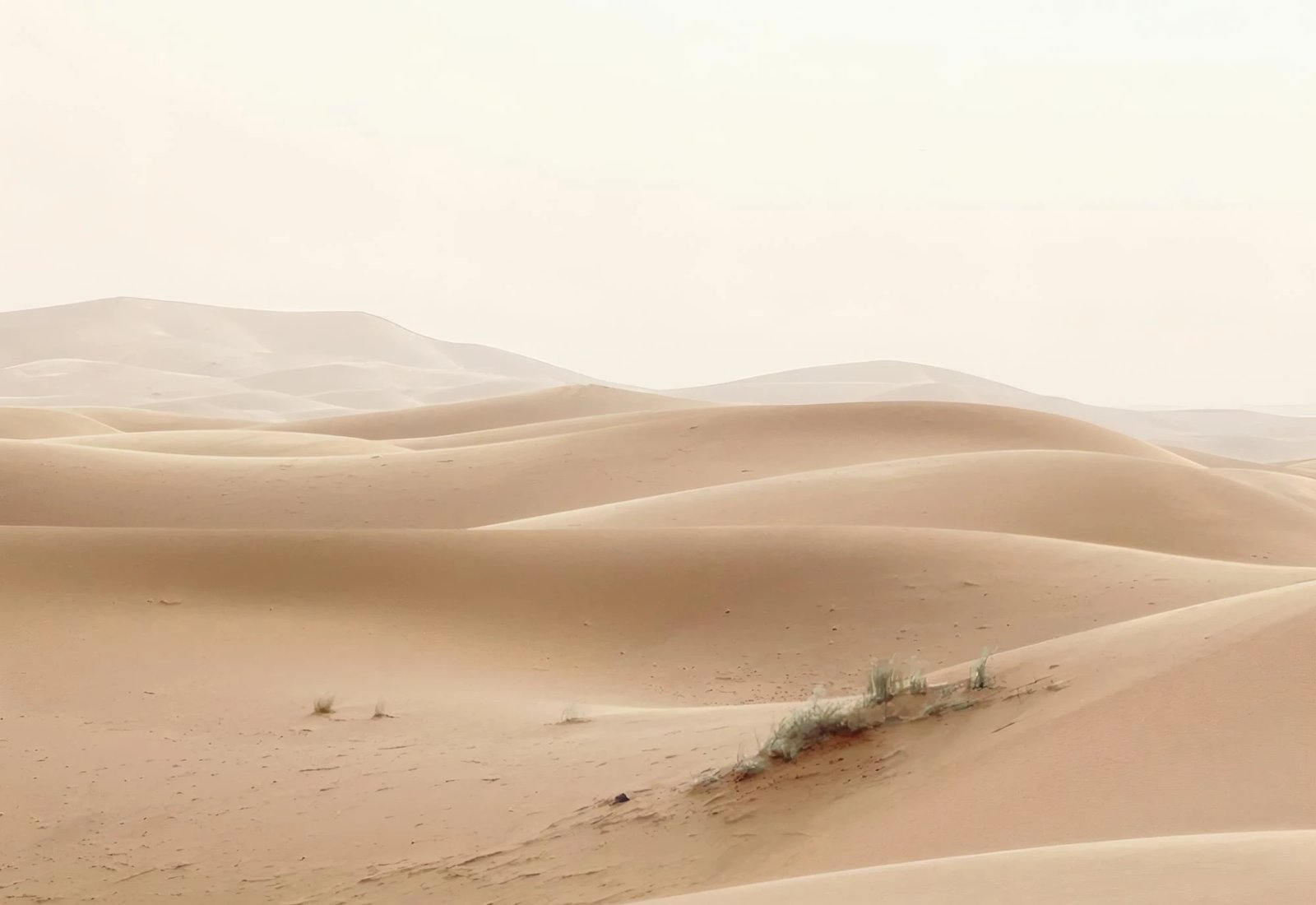 Pikturë dekorative me kornizë, Wallity, Lmnmdl48, shumëngjyrëshe, 33x48cm