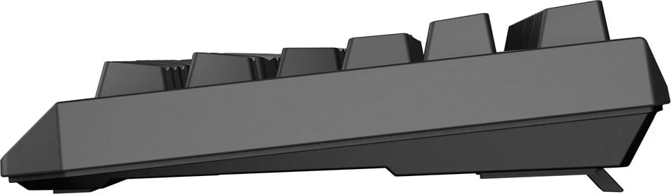 Tastierë mekanike GENESIS Thor 230 TKL, RGB, Wireless & USB Type-C, Gri Tastierë mekanike GENESIS Thor 230 TKL, RGB, Wireless & USB Type-C, Gri
