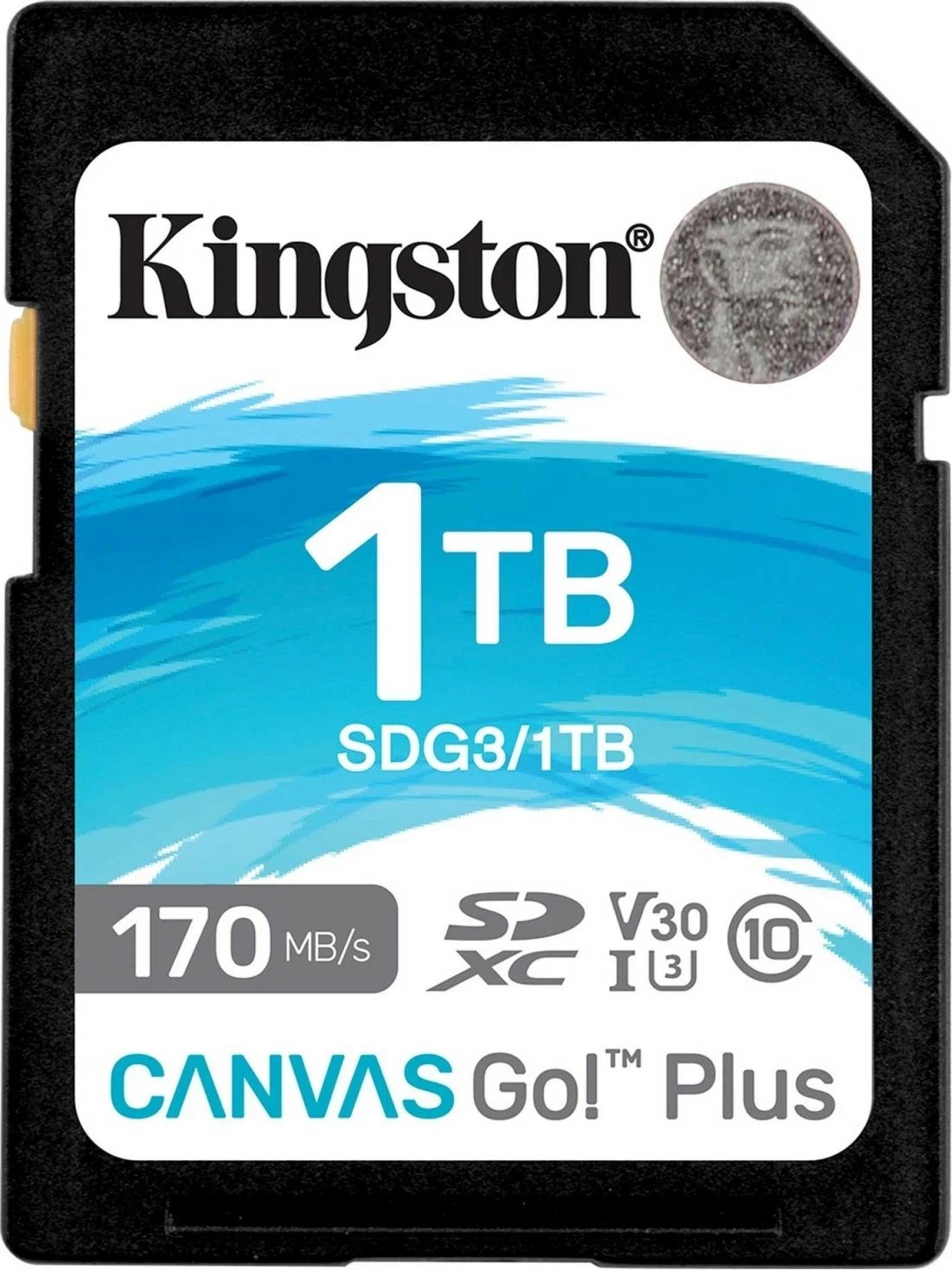 Kartelë SD Kingston Canvas Go Plus 1TB