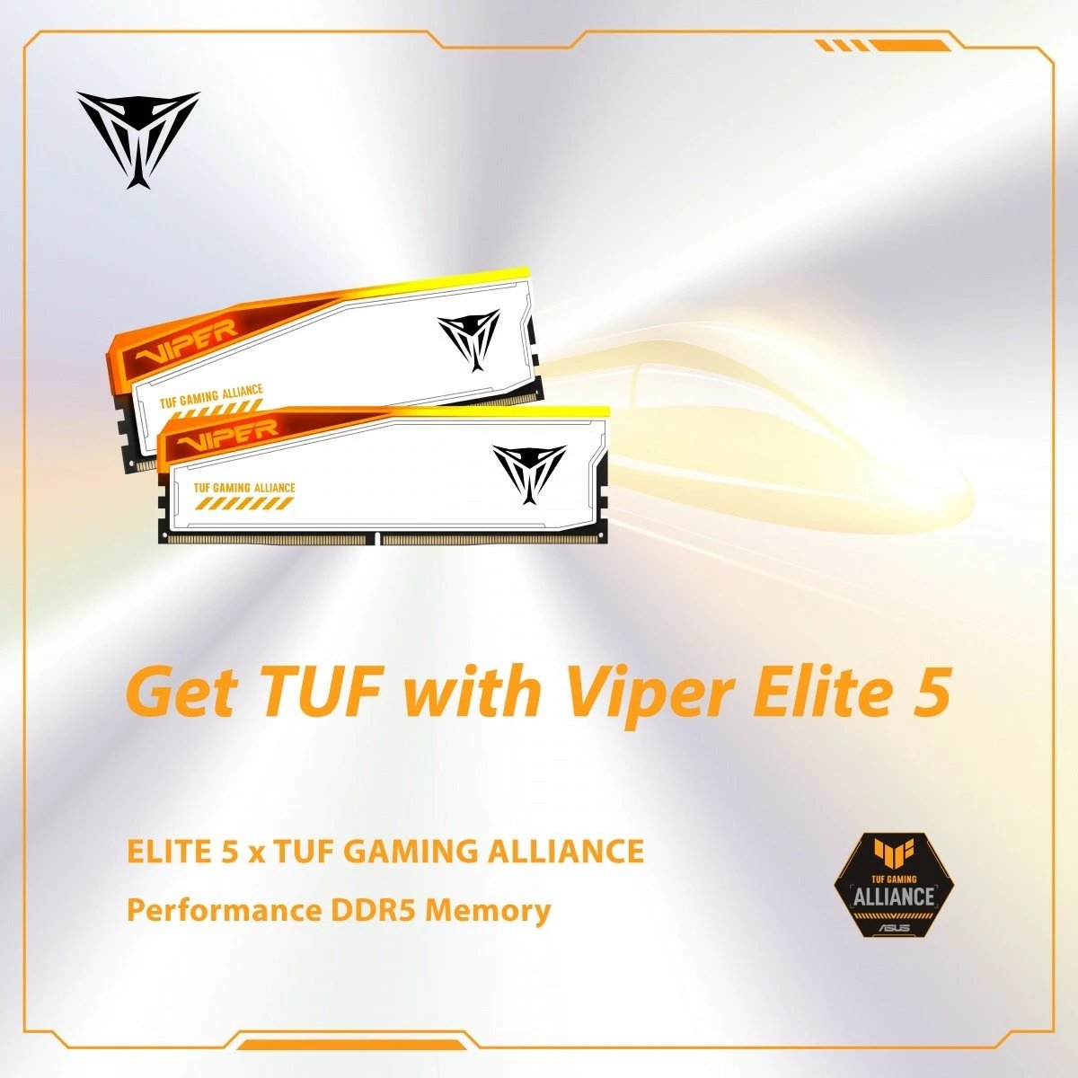 RAM Memorje Patriot Viper Elite 5 RGB TUF, 32GB (2x16GB), DDR5, 6600MHz, CL34, Bardhë