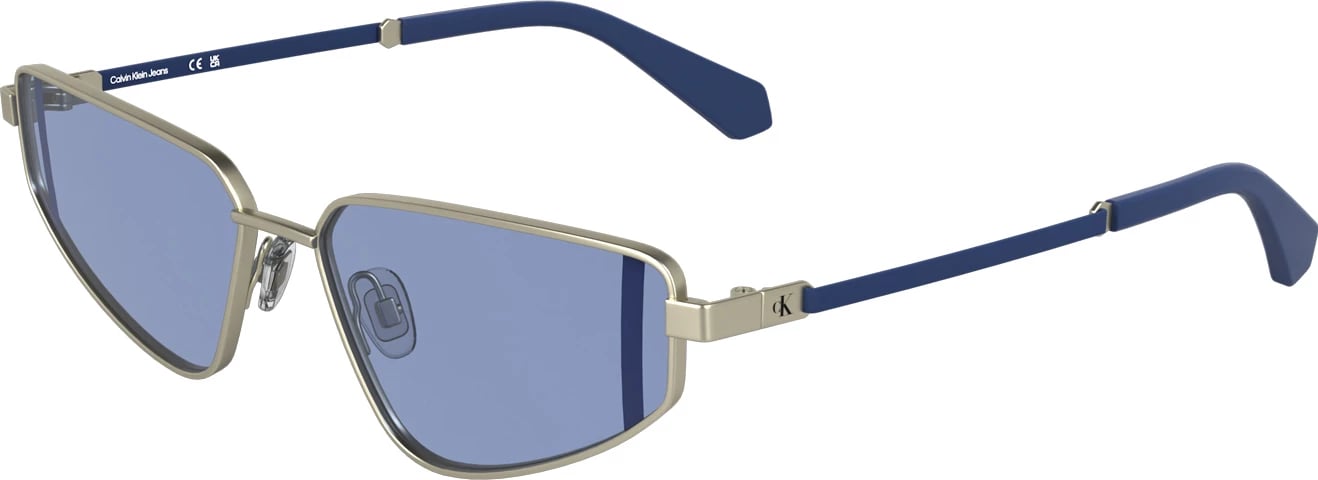 Syze dielli Calvin Klein femra, argjendi