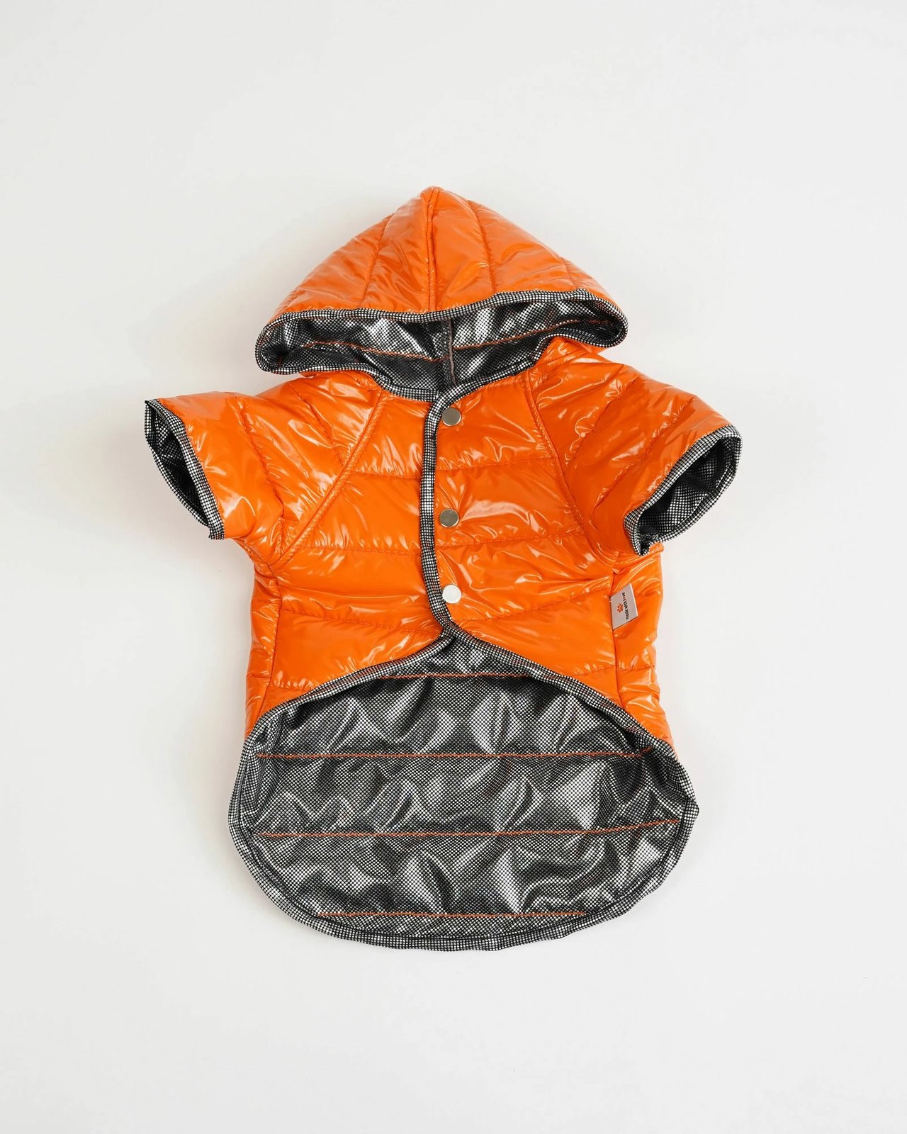 Hoodie për qen, Moncler, portokalli, Paws & Whiskers