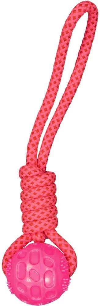 Lodër qeni KOOPMAN me top, H40xØ7cm, Rozë