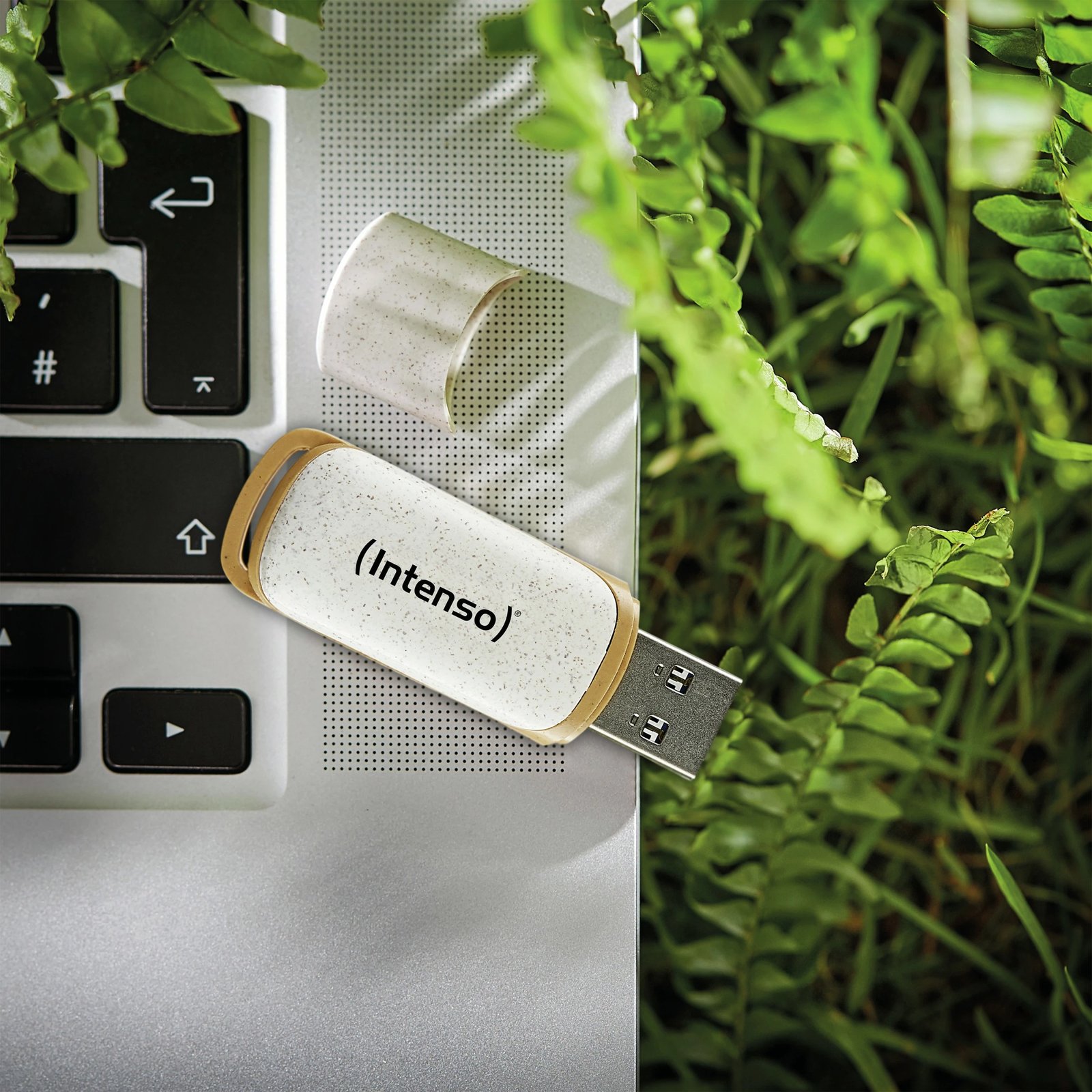 USB stick Intenso Green Line 128GB, USB-A 3.2 Gen 1, bezhë/kafe