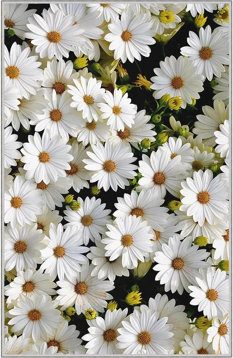 Qilim (160 x 230) Conceptum Hypnose, HMNT521