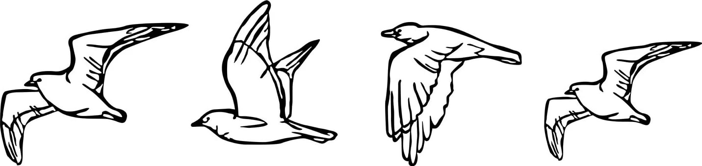 Aksesor dekorativ metalik për mur, Wallity Zevahir, ngjyrë e zezë, 100x24cm