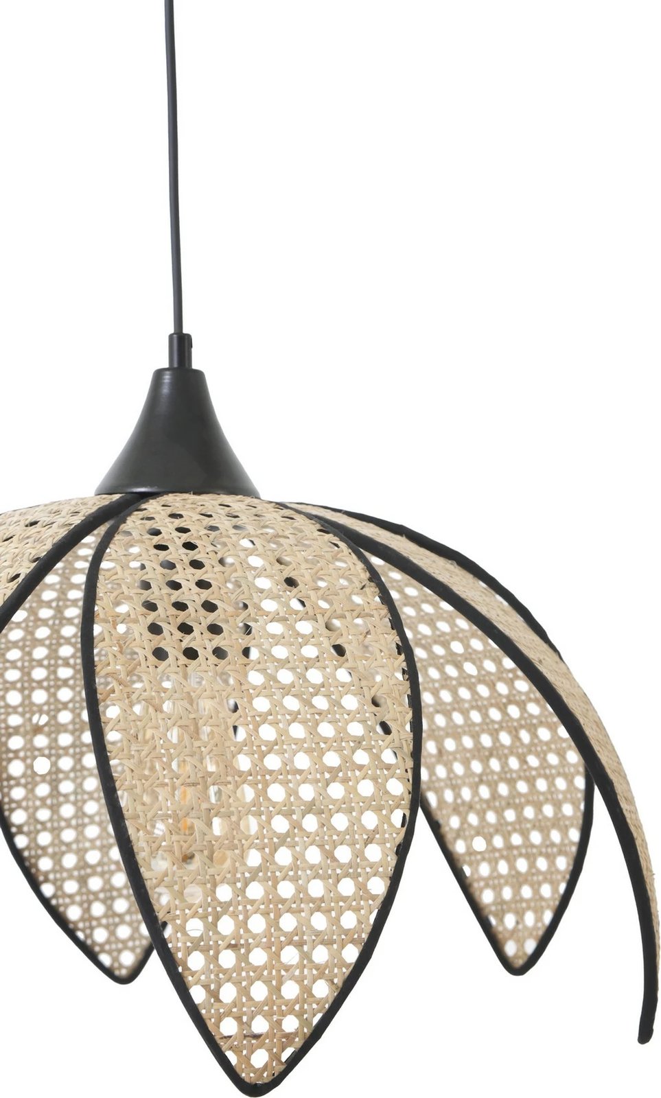 Llambë tavani Opviq, Papatya Büyük, ratan, fume dhe bezhë