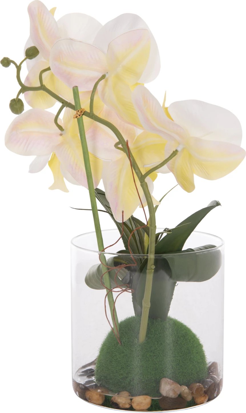 Lule dekorative sintetike Phalaenopsis në vazo qelqi, 12x24x30cm