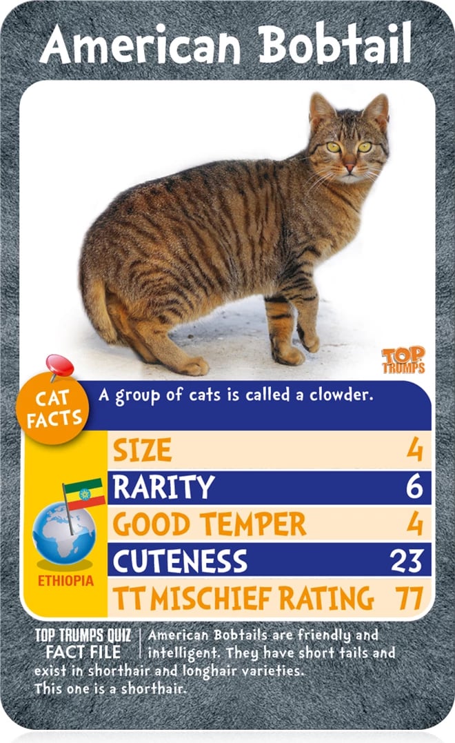 Cats - Who is the Most Mischievous? Top Trump Card Game