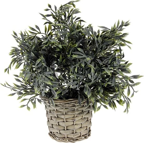 Bimë dekorative KOOPMAN me vazo ratan, 28cm, 6 dizajne