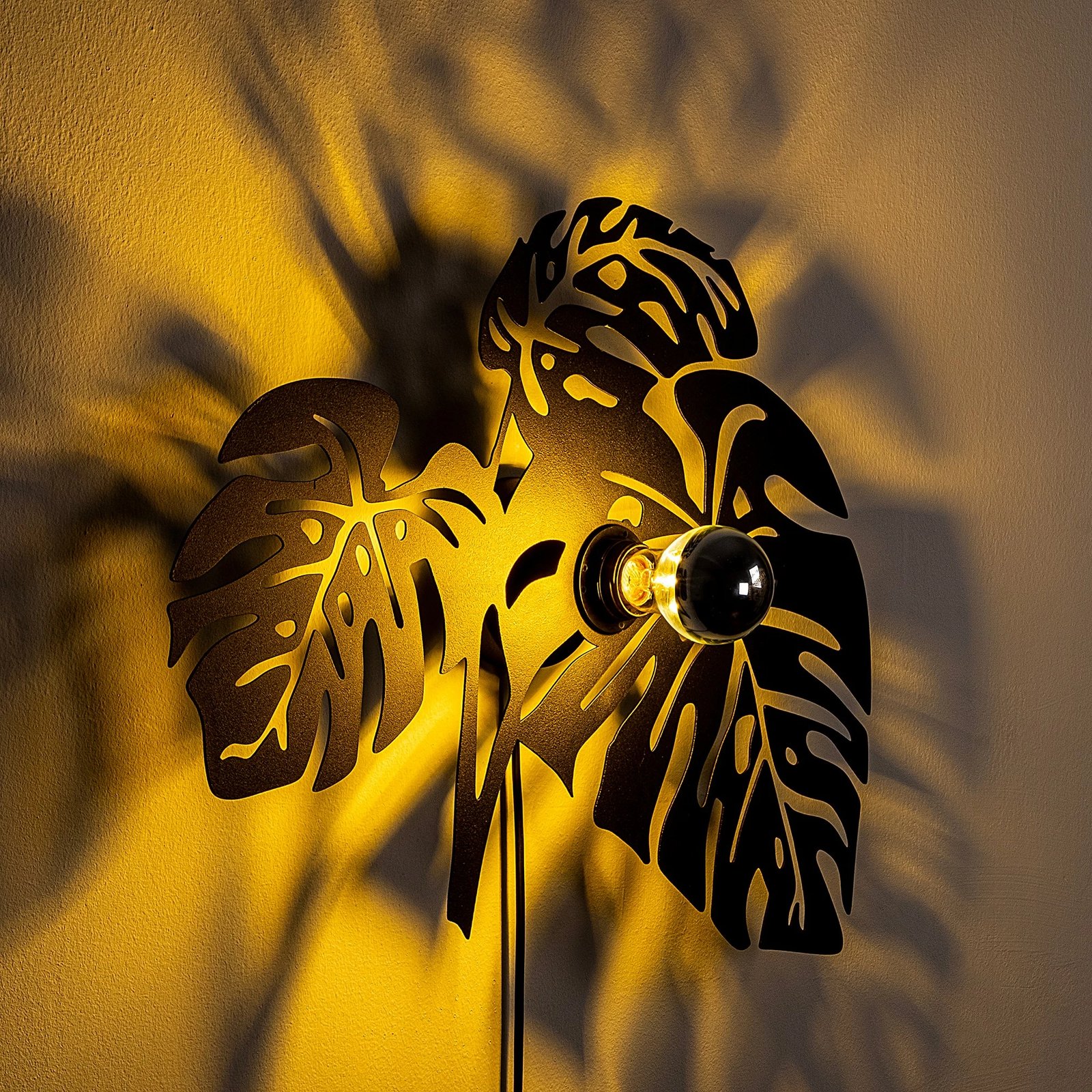 Llambë muri Opviq, gjethe, ngjyrë e zezë