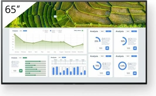 Monitor profesional Sony FW-65BZ30L 65 inç 4K Ultra HD Wi-Fi