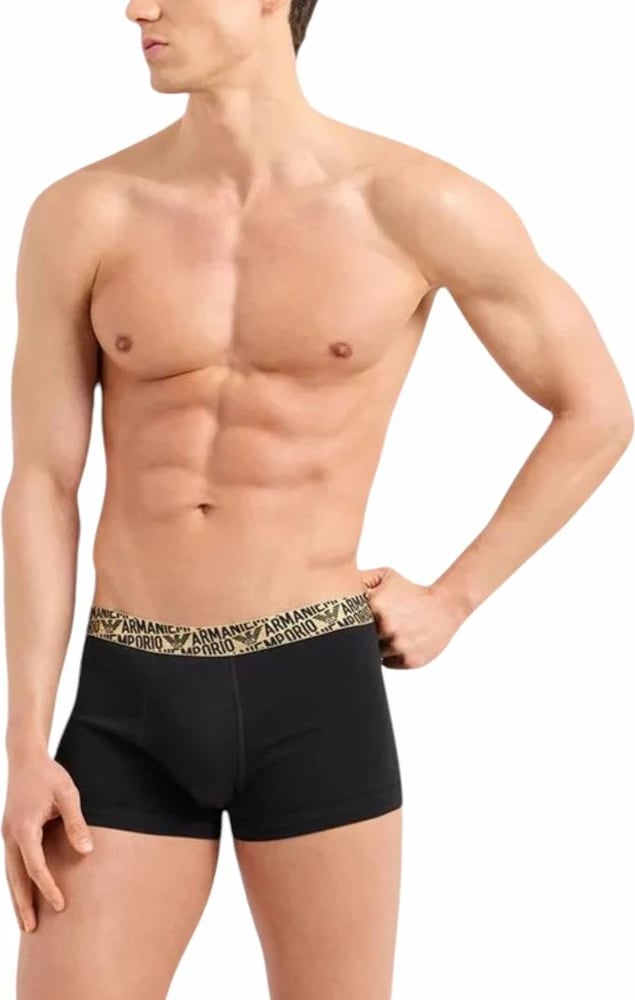 Të brendshme për meshkuj Emporio Armani, dyngjyrëshe
