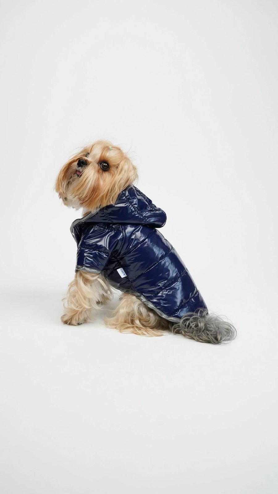 Hudi për qen, Moncler, indigo, Paws & Whiskers