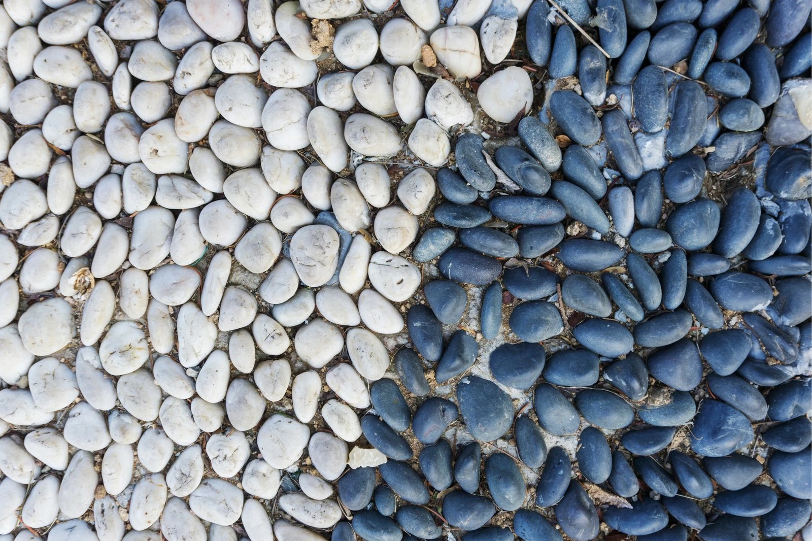 Set tapetesh për banjo (2 copë), Mijolnir, CT-5180