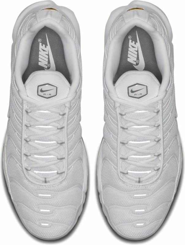 Atlete meshkuj Nike Air Max Plus M 604133-139, të bardha