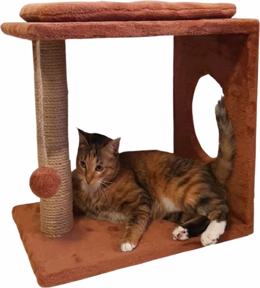 Dërrasë për gërvishtje për mace, Paws & Whiskers, Orla, ngjyrë e kuqe pllake