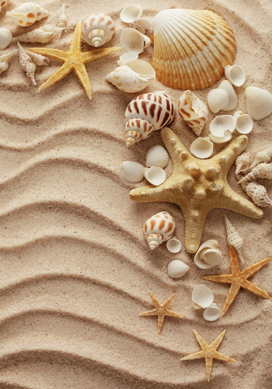 Set tapetash për banjo (2 copë), Mijolnir, CT-5244