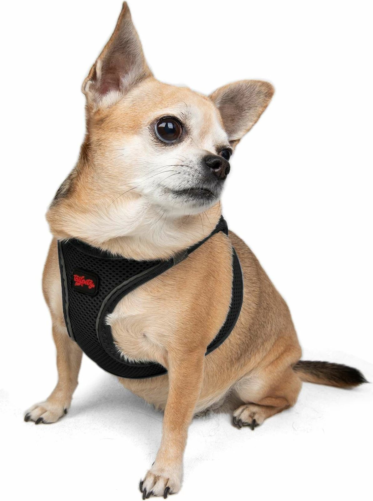 Parzmore për qen, Air-Mesh, ngjyrë e zezë