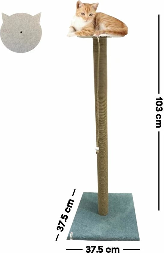 Dërrasë gërvishtëse për mace, Axel, ngjyrë tyrkiz