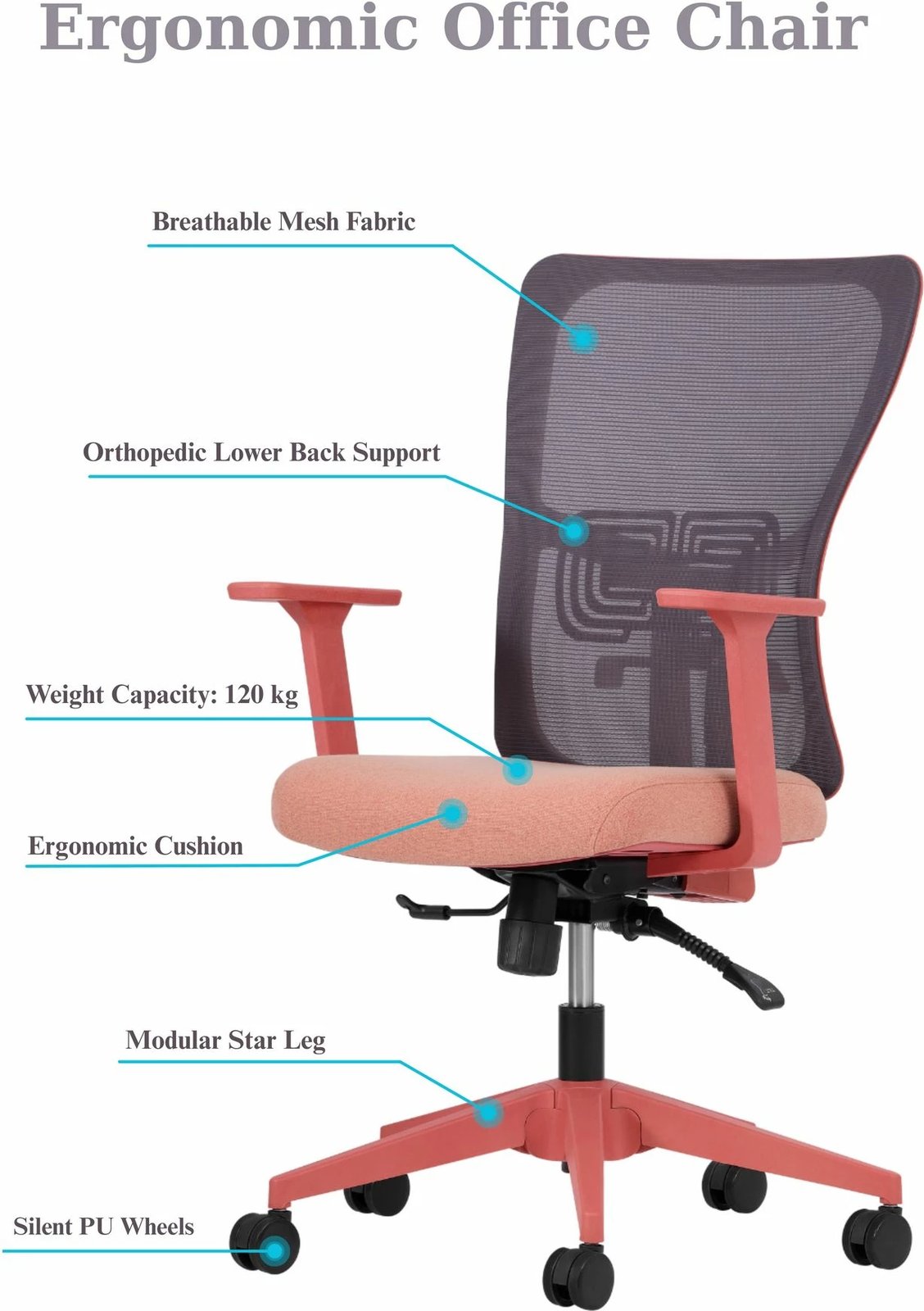 Set karrigesh zyre (2 copë), Skye Decor, mbështetje mesit, 108, ngjyrë salmon