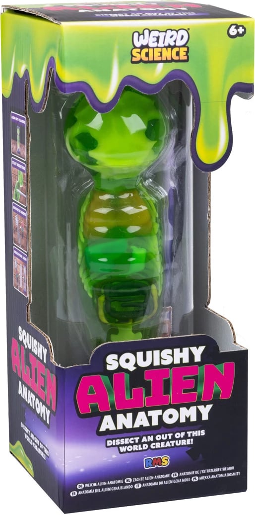 Weird Science Squishy Alien Anatomy Craft Set