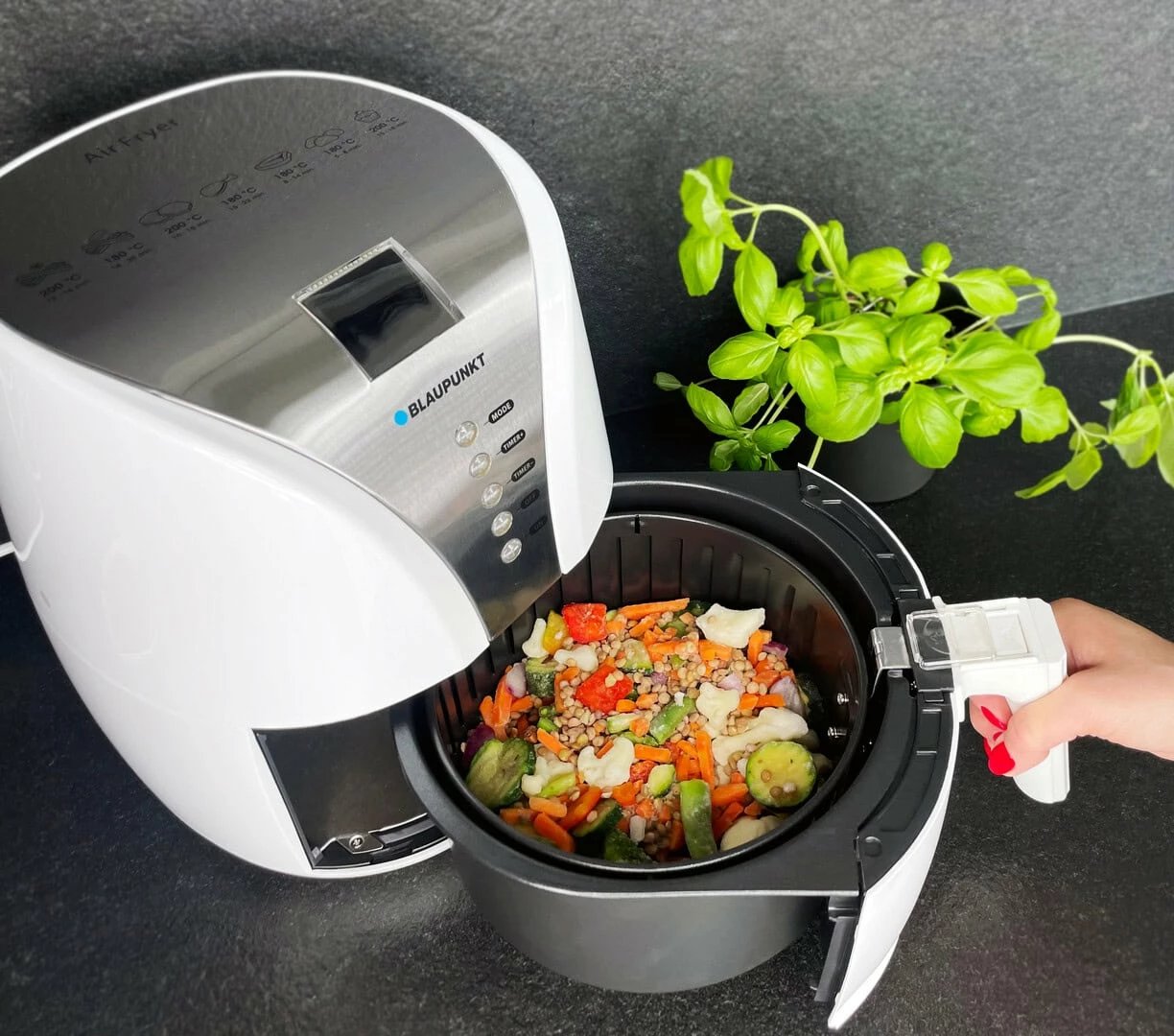 Fritezë BLAUPUNKT AFD601