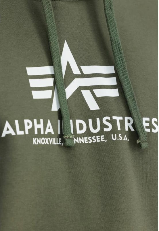 Duks për meshkuj Alpha Industries, gri