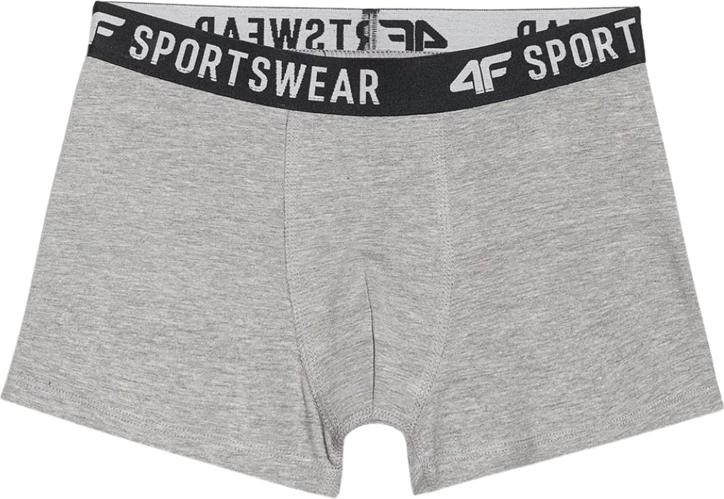 Të brendshme për djem 4F, shumëngjyrëshe Të brendshme për djem 4F, shumëngjyrëshe