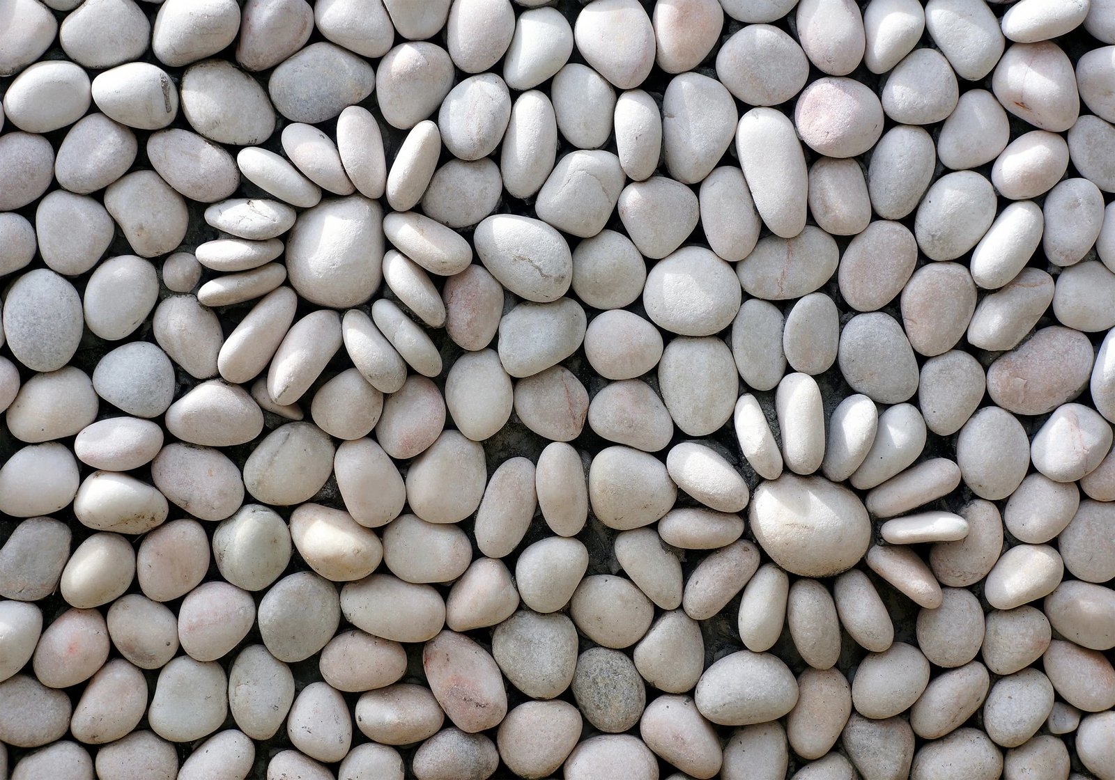 Set tapetash për banjo (2 copë), Mijolnir, CT-5197