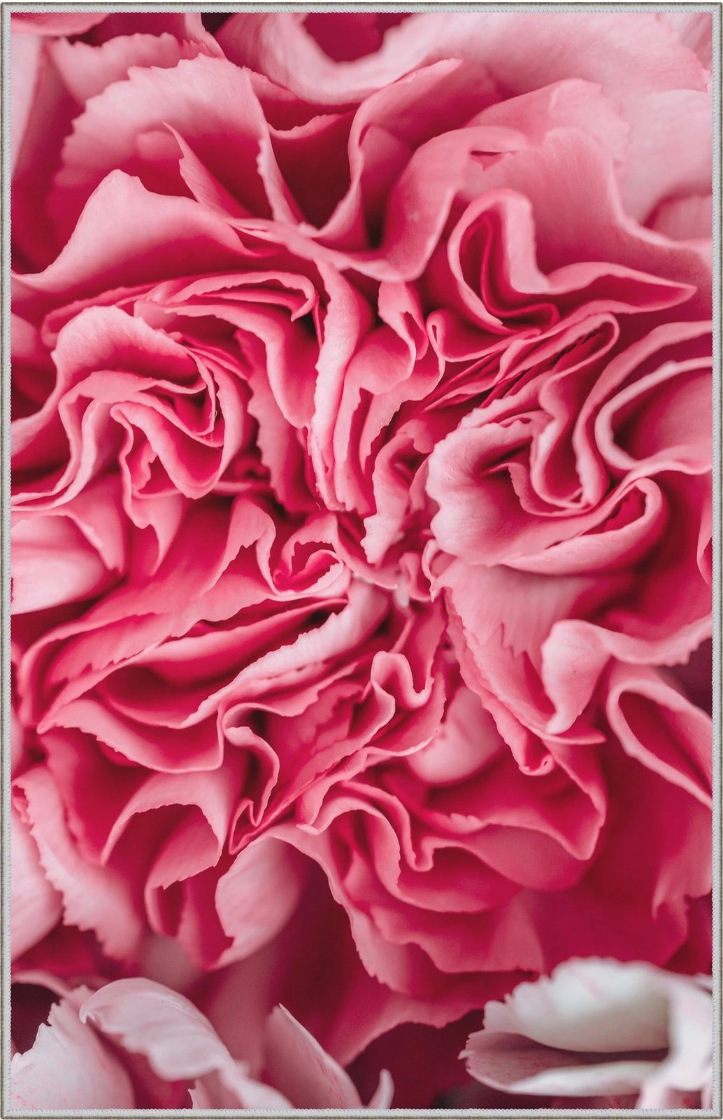 Qilim (80 x 120) Conceptum Hypnose, WOOKECE085