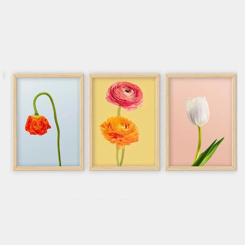 Pikturë dekorative me kornizë (3 copë), Wallity, 3NTC_41955467_3545