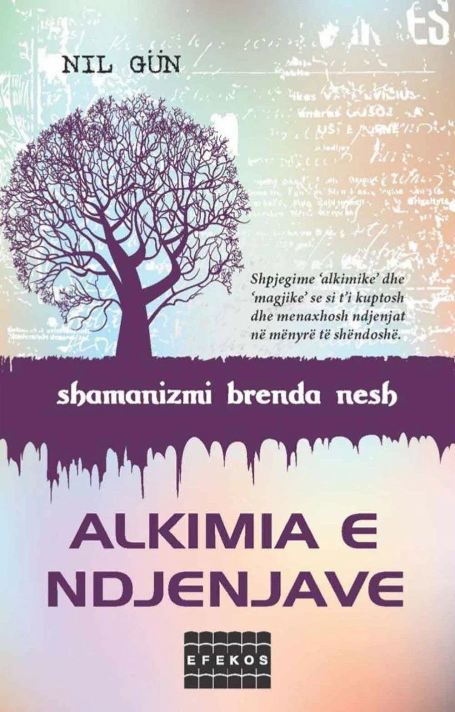 Alkimia E Ndjenjave - Nil Gun