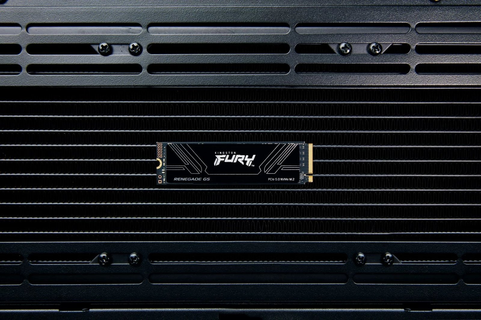 SSD Kingston FURY RENEGADE G5 1TB M.2 2280 PCIe 5.0 NVMe, i zi