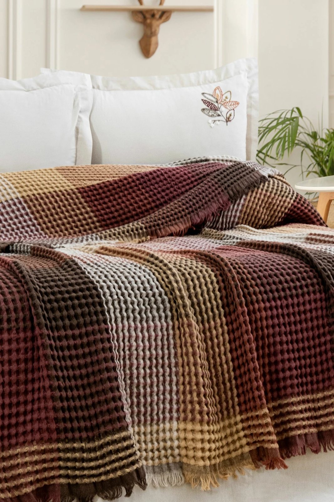 Set piké dopio Floransa, ngjyrë ecru