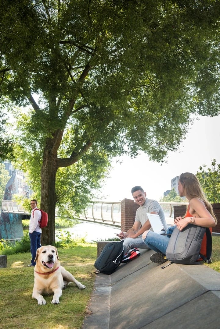 Çantë shpine Rivacase 7560, Blu Poliester