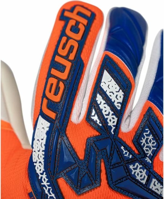 Doreza portieri Reusch, të arta