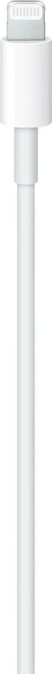 Apple USB-C to Lightning Cable - Lightning cable - Lightning / USB - 1 m