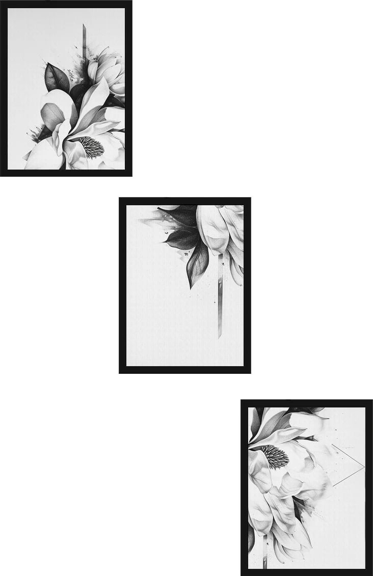 Pikturë dekorative me kornizë MDF (3 copë), Wallity, Huhu479S, 30x40