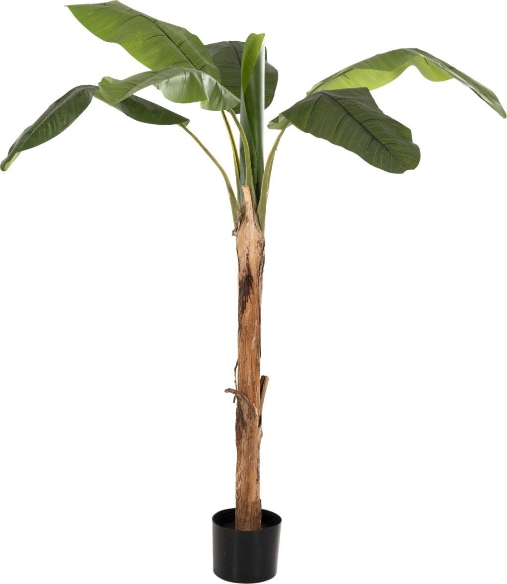 Bimë sintetike dekorative, pemë banane, FH7978, 200H cm