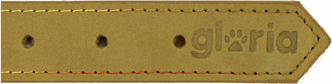 Qafore për qen Gloria Oasis, 65 x 3 cm, e gjelbër