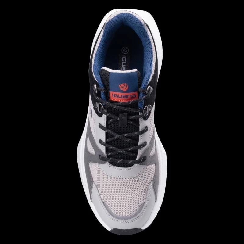 Atlete për meshkuj Iguana